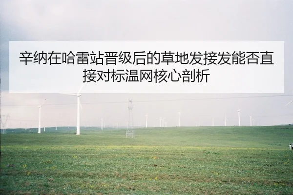 辛纳在哈雷站晋级后的草地发接发能否直接对标温网核心剖析
